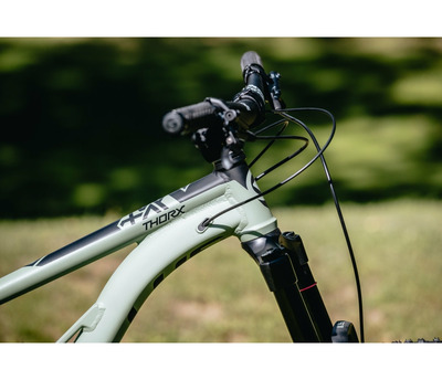 THORX 30 29"