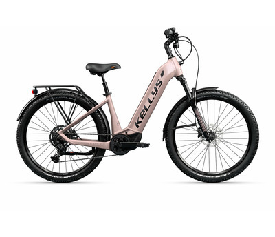 ESTIMA X40 P ROSE GOLD 725 Wh