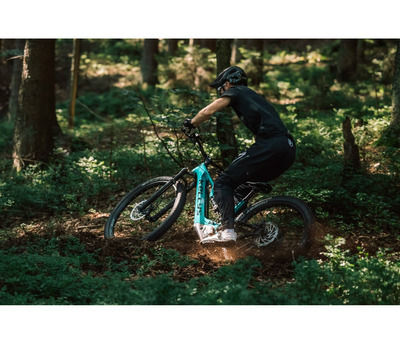 THEOS F60 SH TEAL 29/27.5" 725 Wh