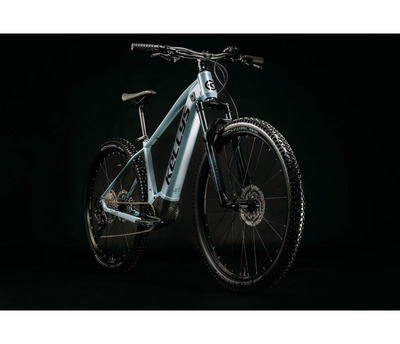 TAYEN R10 P MAGIC PINK 29" 725Wh