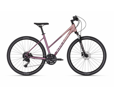 PHEEBE 70 ROSY VIOLET 2526681