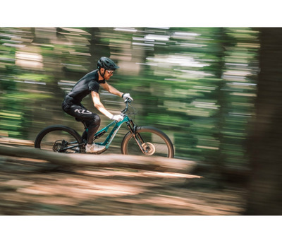 THEOS F60 SH TEAL 29/27.5" 725 Wh