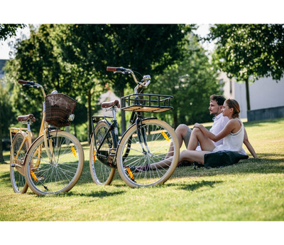 ARWEN DUTCH MENTHOL - ohne StVZO Ausstattung