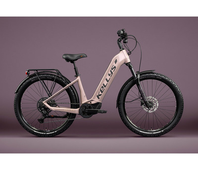 ESTIMA X40 P ROSE GOLD 725 Wh