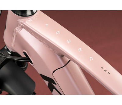 TAYEN R10 P ROSE GOLD 29" 725Wh