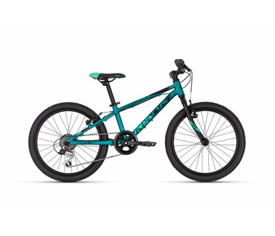 LUMI 30 TEAL 20" 2959111