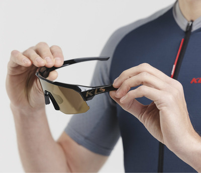 DICE II GOLD POLARIZED