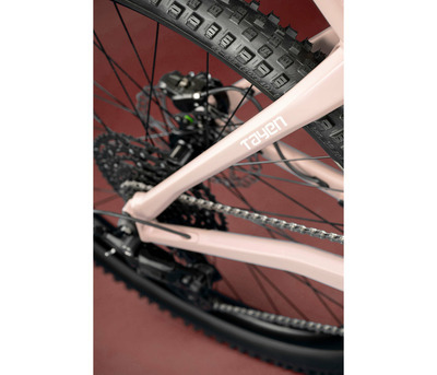 TAYEN RS50 P ROSE GOLD 29" 820 Wh
