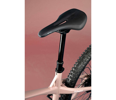 TAYEN RS50 P ROSE GOLD 29" 820 Wh