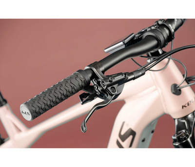 TAYEN RS50 P ROSE GOLD 29" 820 Wh