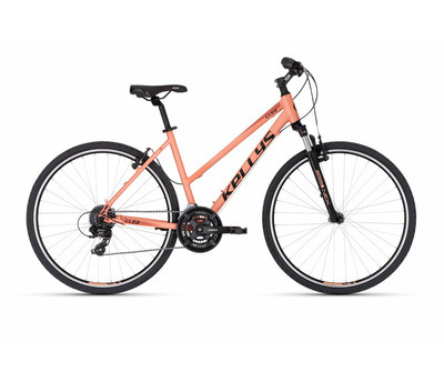 CLEA 30 DESERT FLOWER 3063280