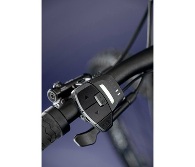 THEOS RS90 P ROYAL PURPLE 29/27.5" 900 Wh