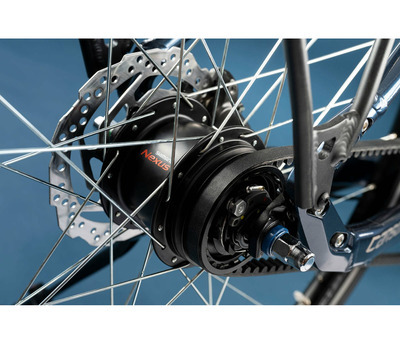 CARSON 70 BELT QUARZ BLUE