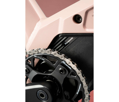 TAYEN RS50 P ROSE GOLD 27.5" 820 Wh