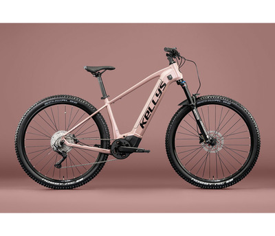 TAYEN R10 P ROSE GOLD 29" 725Wh