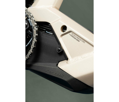 TYGON RS50 P MOCHA GREY 29" 820 Wh