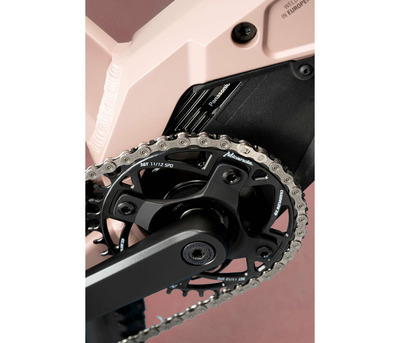 TAYEN RS50 P ROSE GOLD 27.5" 820 Wh