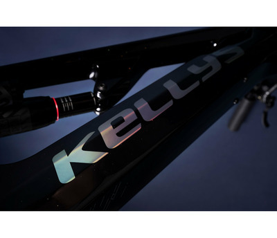 THEOS F100 SH 29/27.5" 825 Wh