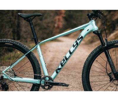MYSTERY 70 29"