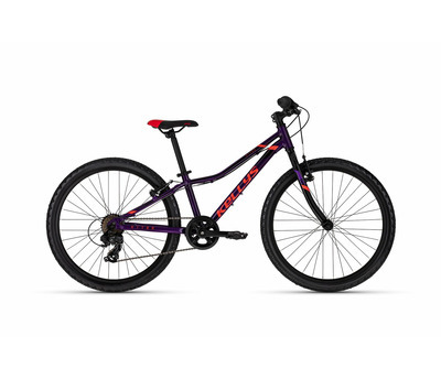 KITER 30 PURPLE 24"