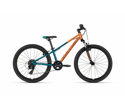 KITER 50 AUTUMN FOREST 24" 3912588
