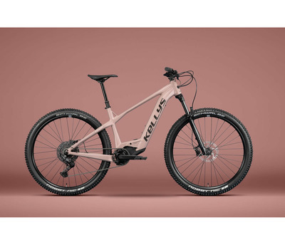 TAYEN RS50 P ROSE GOLD 29" 820 Wh