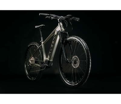 TYGON R50 P MAGIC GREEN 29" 725Wh