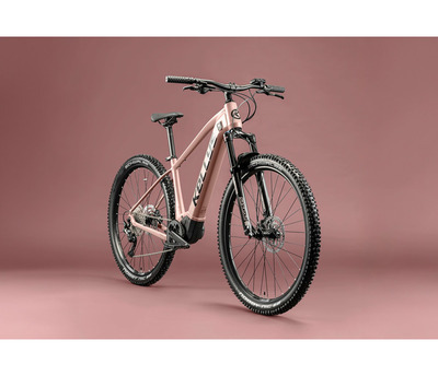 TAYEN R10 P ROSE GOLD 29" 725Wh