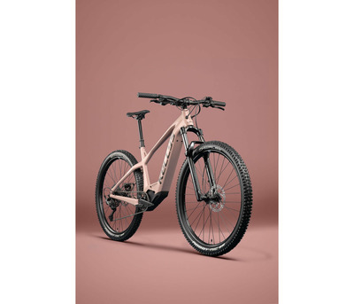 TAYEN RS50 P ROSE GOLD 27.5" 820 Wh