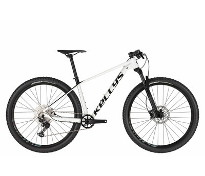 GATE 30 WHITE 29"