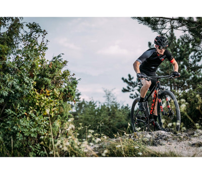 SPIDER 10 GREEN 27.5"