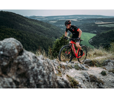 SPIDER 10 NEON YELLOW 29"