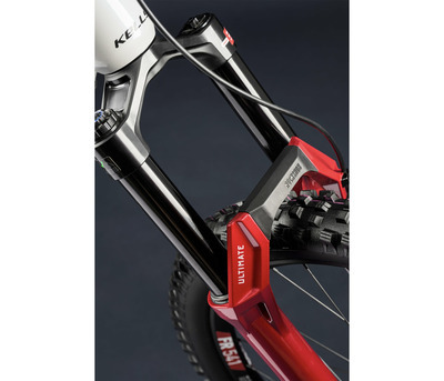 THEOS AX90 WHITE FURY 29" 800 Wh