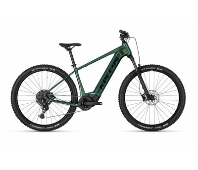 TYGON R90 LTD P MAGIC GREEN 29" 820 Wh 4064058