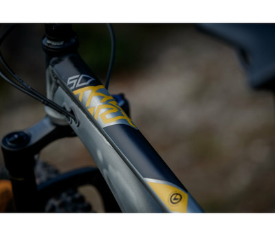 THORX 50 29"