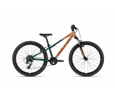 KITER 50 AUTUMN FOREST 24" 4240398
