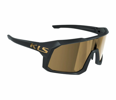 DICE II GOLD POLARIZED