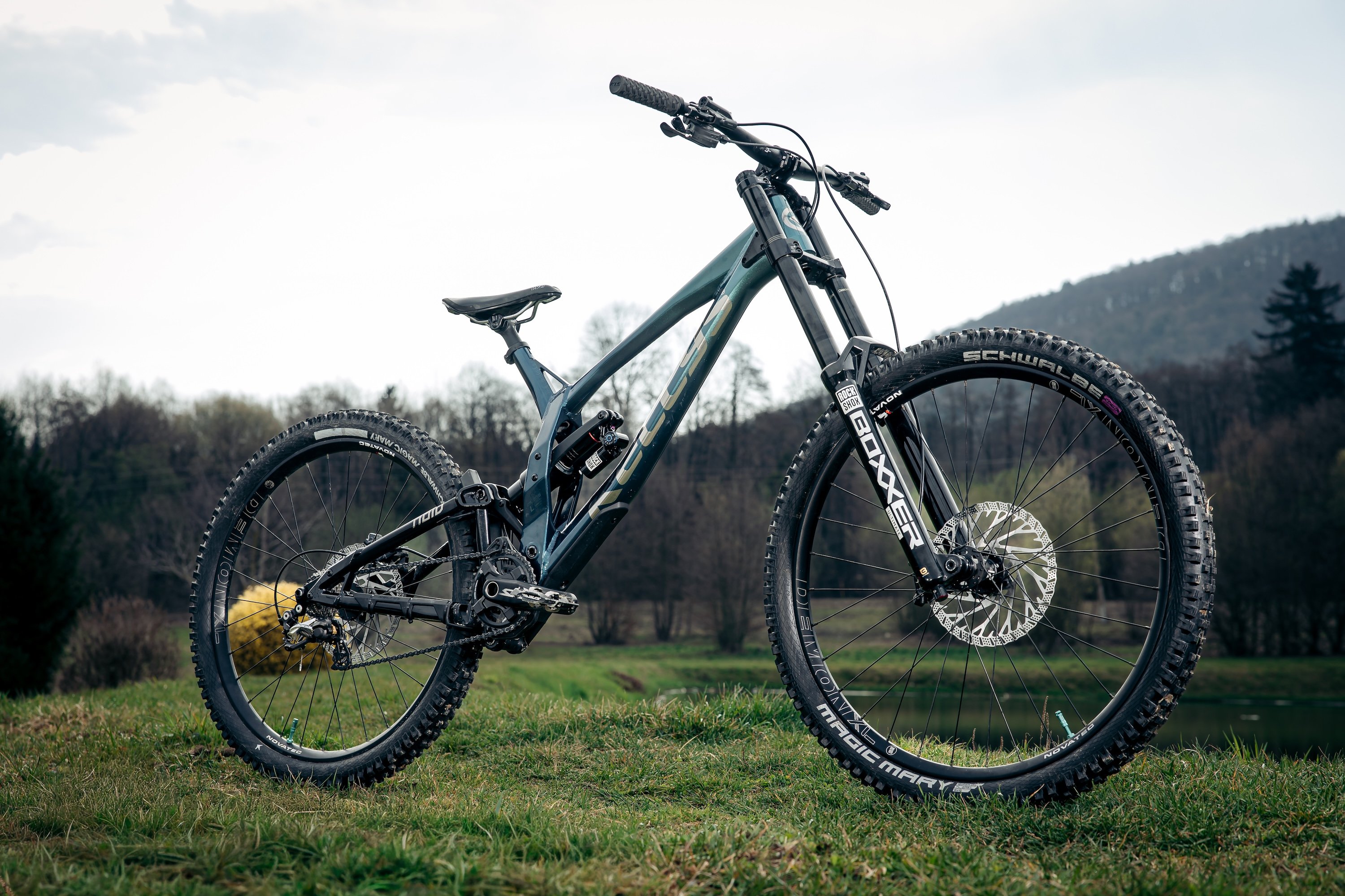Kellys Factory Team 2026: Erfolge bei der Downhill-EM und nationale Titel