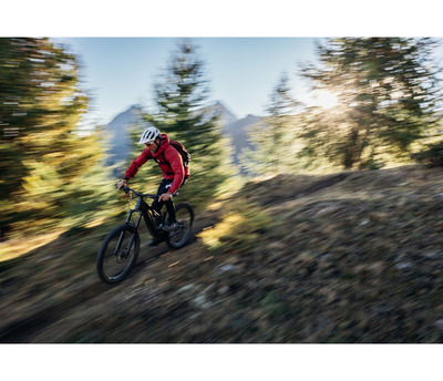 THEOS F70 SH 29/27.5" 820 Wh