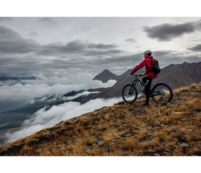 THEOS F70 SH 29/27.5" 725 Wh