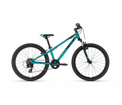 KITER 50 TEAL 24" 3191810