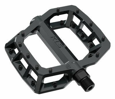 FLAT 50 BB  023 black