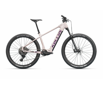TYGON AX70 STARDUST 29" 800 Wh 4166435