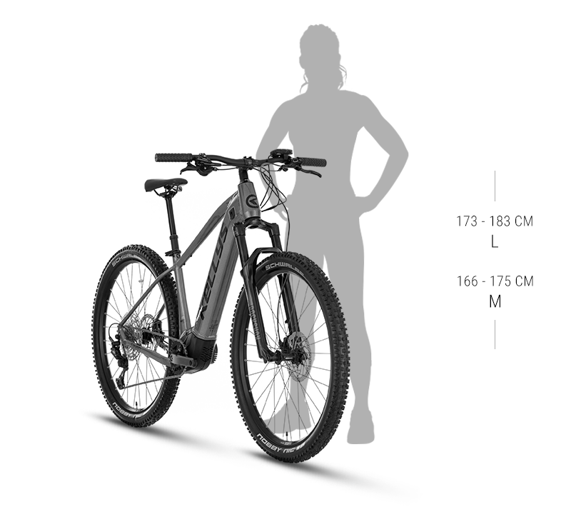 Veľkosť rámu TAYEN R10 P ROSE GOLD 29" 725Wh